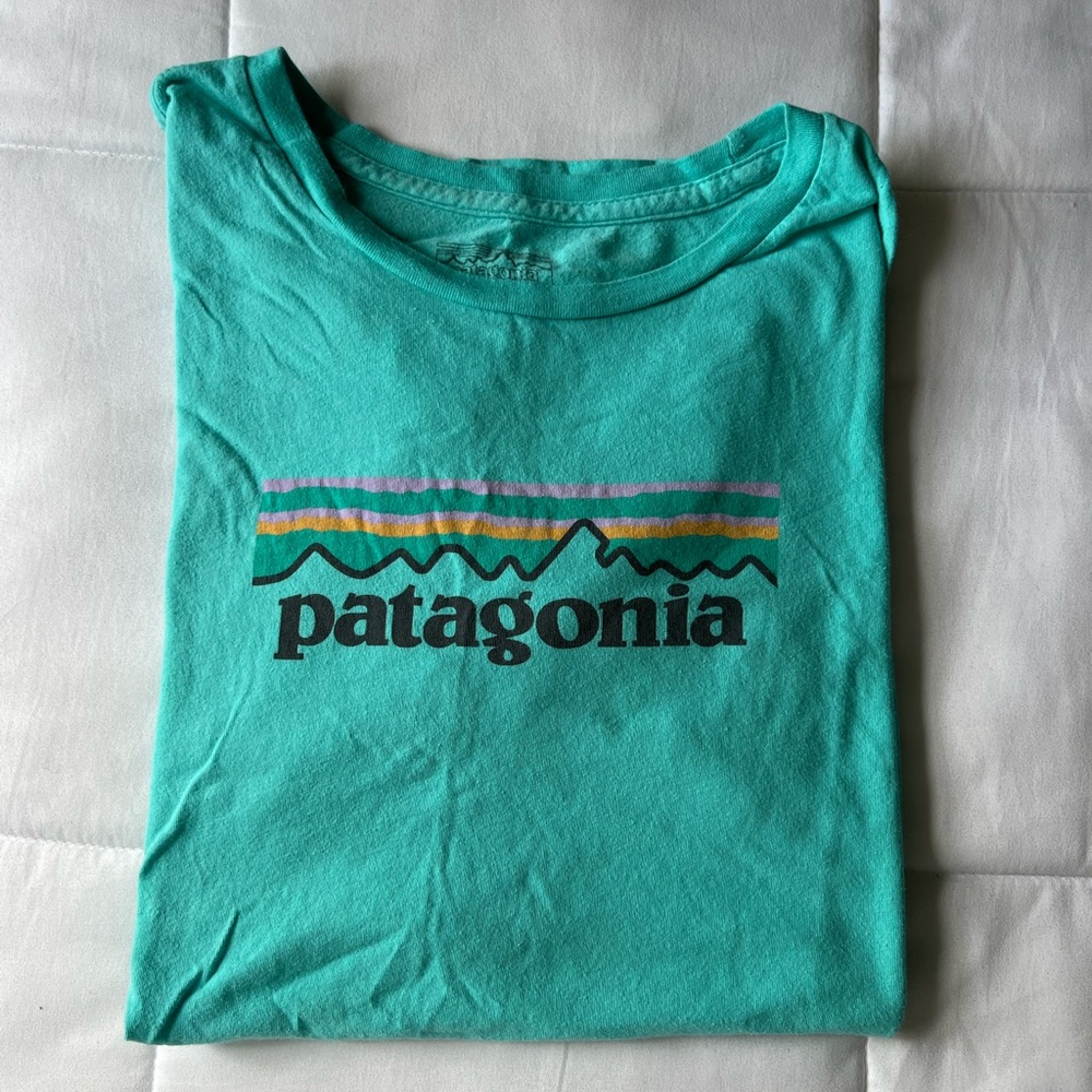 Patagonia Logo Tee